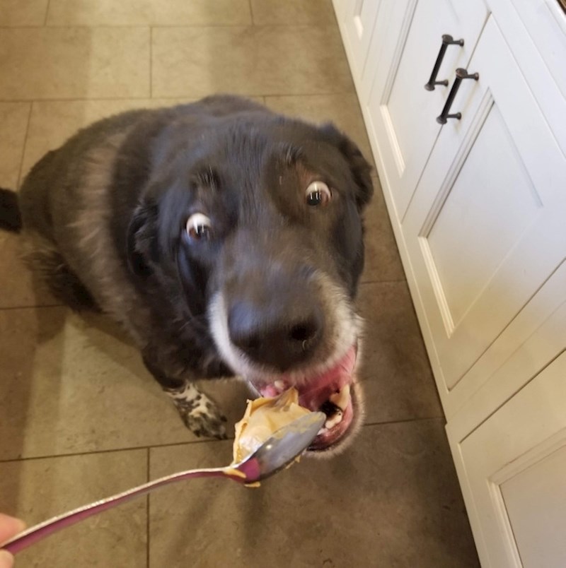 5. Netko jakooo voli maslac od kikirija