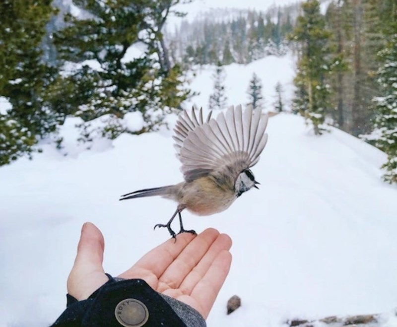 19. "Ova fotografija će mi uvijek biti draga. Fotkao sam je na jedne godine na skijanju."