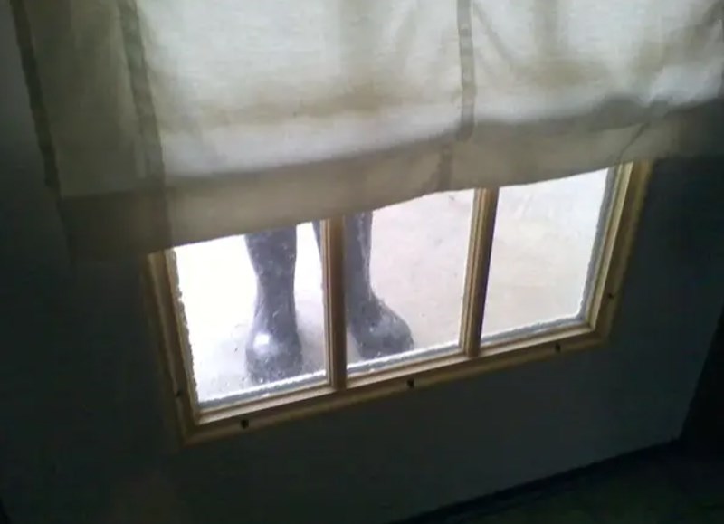 9. "Danas ujutro sam se prestravila i mislila da ću umrijeti, a onda se sjetila da sam sinoć ostavila vani čizme..."