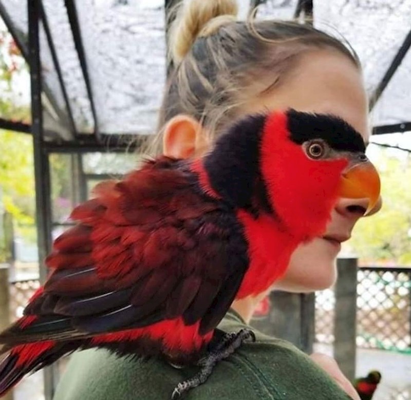 "Taman smo se poklopili. Ako mene pitate, fotka izgleda baš fora!"