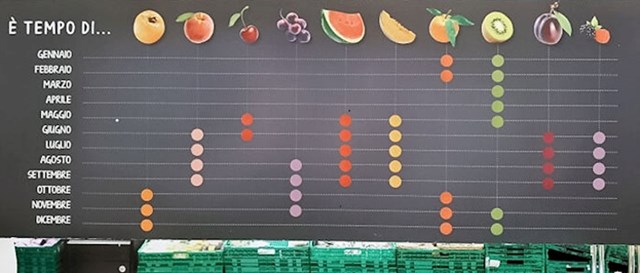 13. Tabla koja prikazuju tijekom kojih mjeseci u godini je određeno voće dostupno
