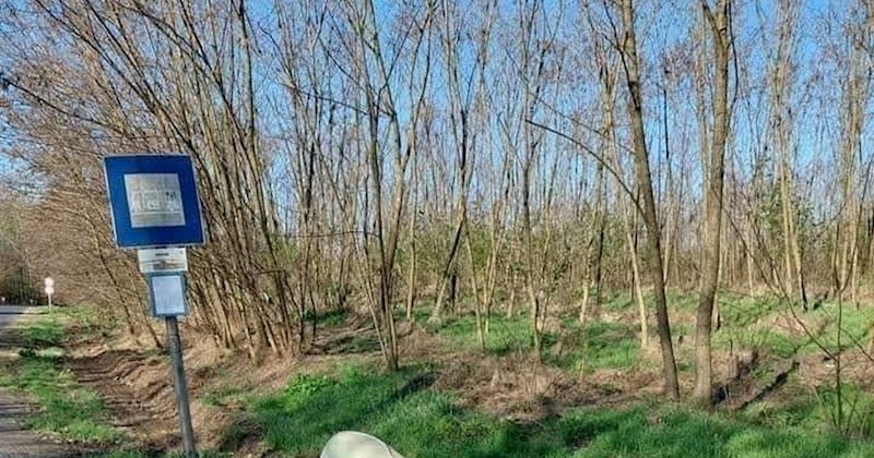 Prizor s autobusne stanice negdje u Mađarskoj nasmijao ekipu na Fejsu, odmah će vam biti jasno zašto