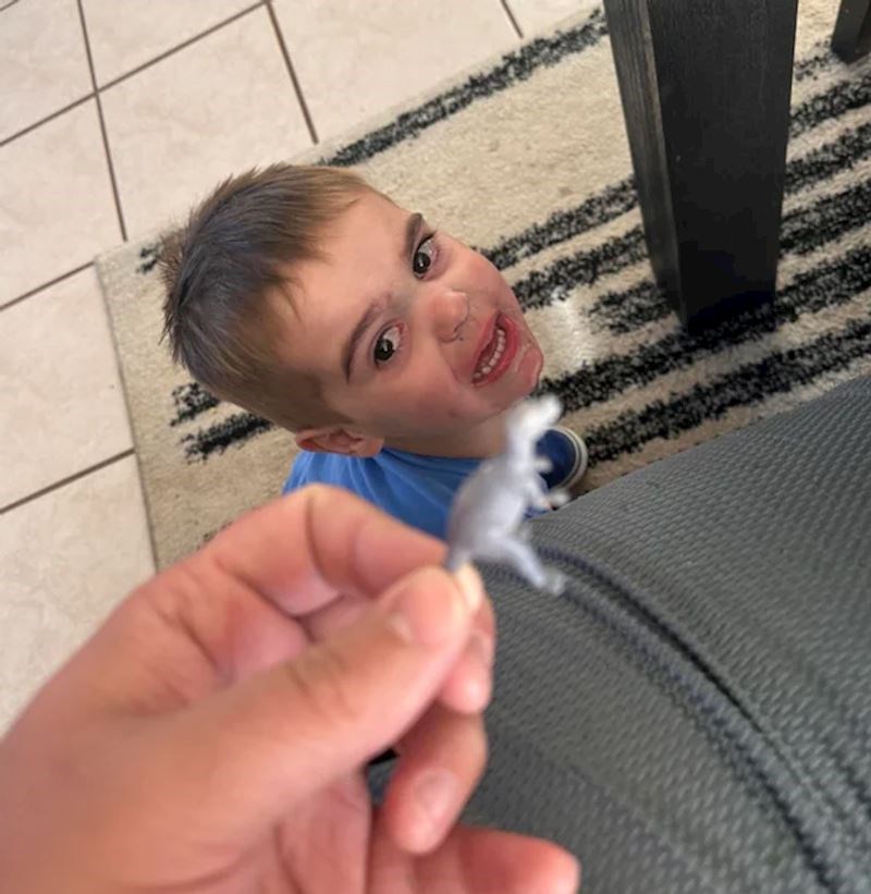 8. "Najviše od ičega se boji figurica dinosaura. Ovo je njegova faca kad vidi jednu od figurica"