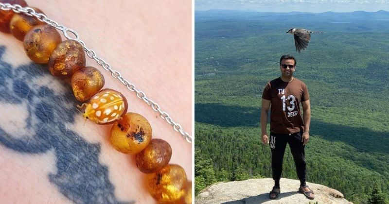 10 jedinstvenih slika iz prirode koje su snimljene pukom srećom