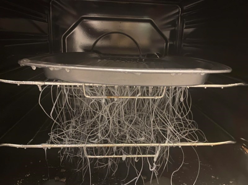 "Upalio sam pećnicu da se zagrije i zaboravio da je unutra bila plastična posuda..."