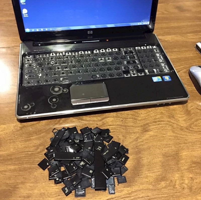 "Mala djeca i tipkovnica - jako loša kombinacija"