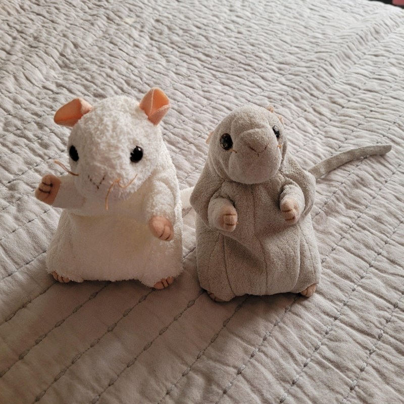 2. "Desno se nalazi plišani miš moje supruge kojeg ima 22 godine, a lijevo je plišani miš kojeg smo kupili kćeri"