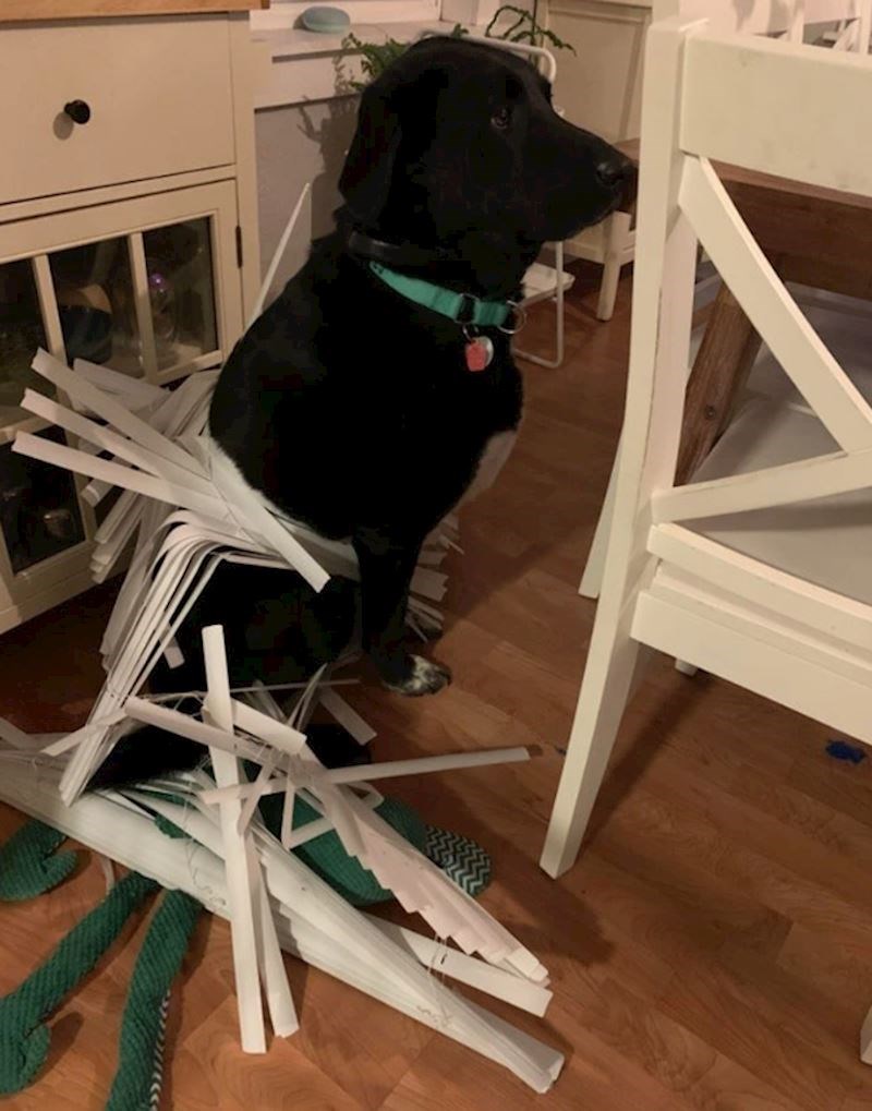 "Malo je zapeo i sad se došao požaliti."