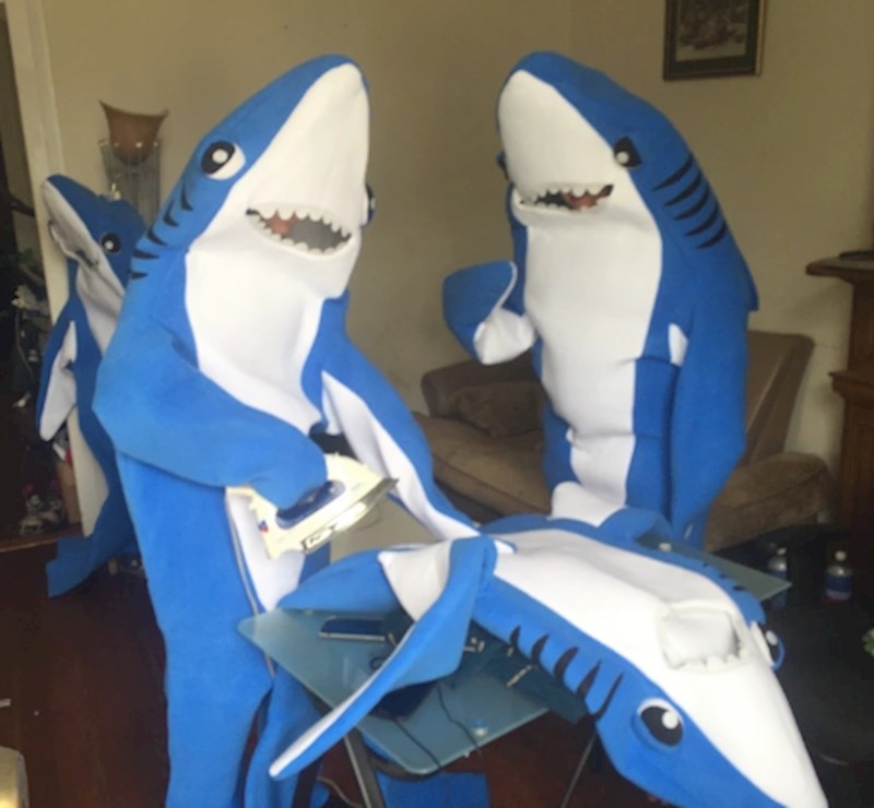 "Moj dečko i njegovi prijatelji"