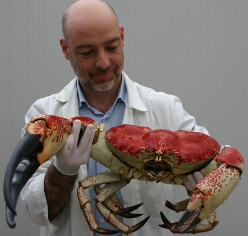 3. S ovim rakom se ne bismo zezali.