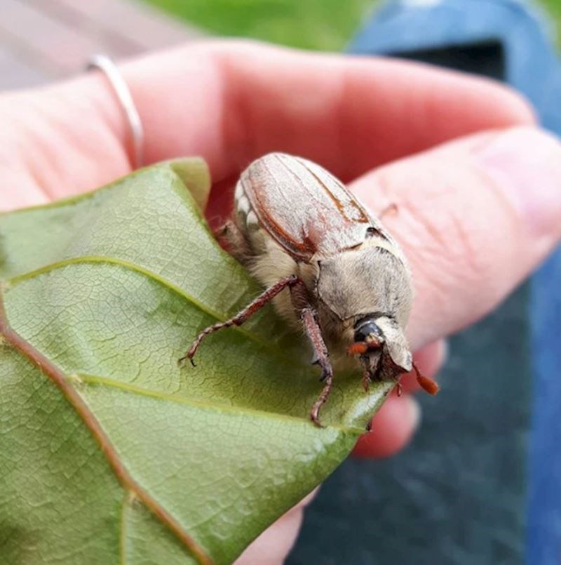 18. "Ne znam što je ovo, ali izgleda fascinantno."