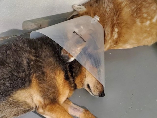 14. "Malo utjehe nikad ne škodi."
