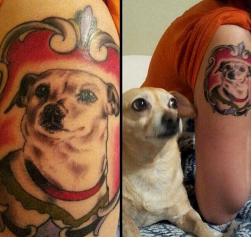 "Mislim da nije odušeljen tetovažom..."