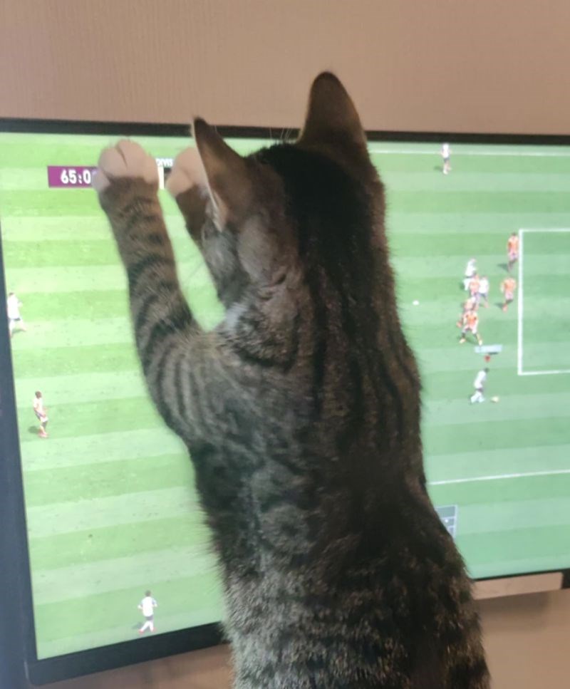 8. "Ne želi da znamo koji je rezultat."