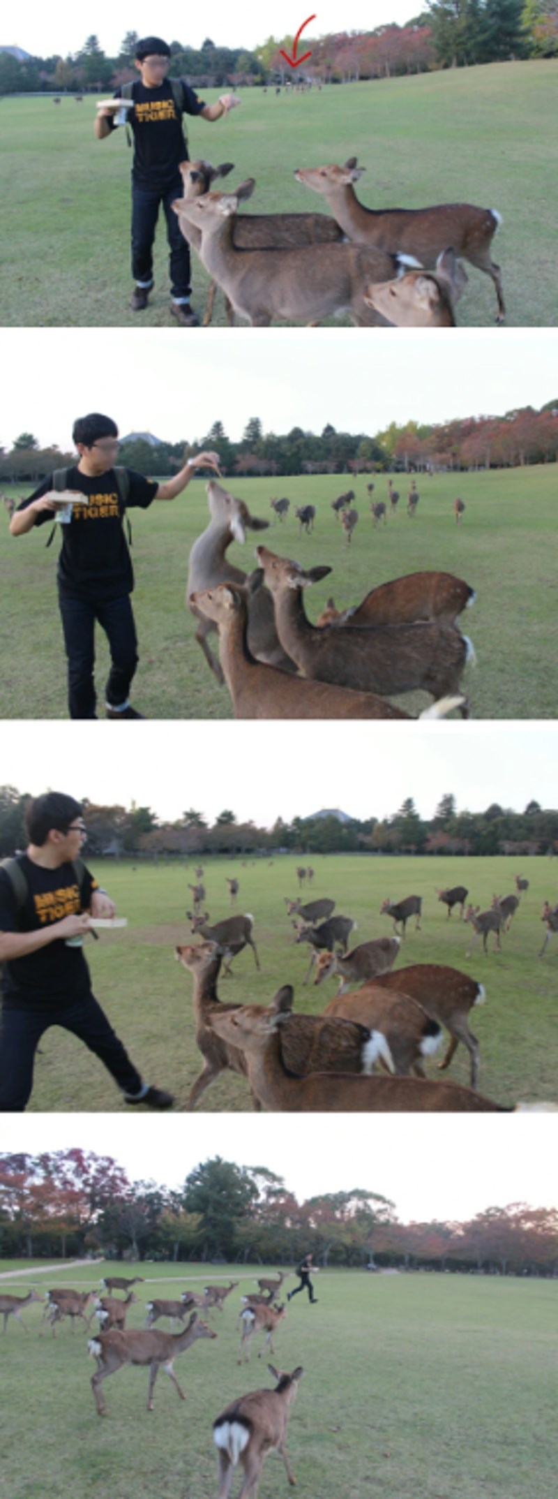 14. I ovo izgleda kao scena iz nekog filma. 🤣🤣
