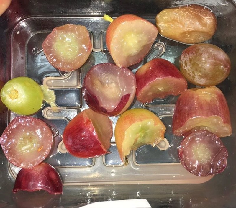 11. Rekla je bratu da može pojesti pola grožđa, malo je previše ozbiljno to shvatio