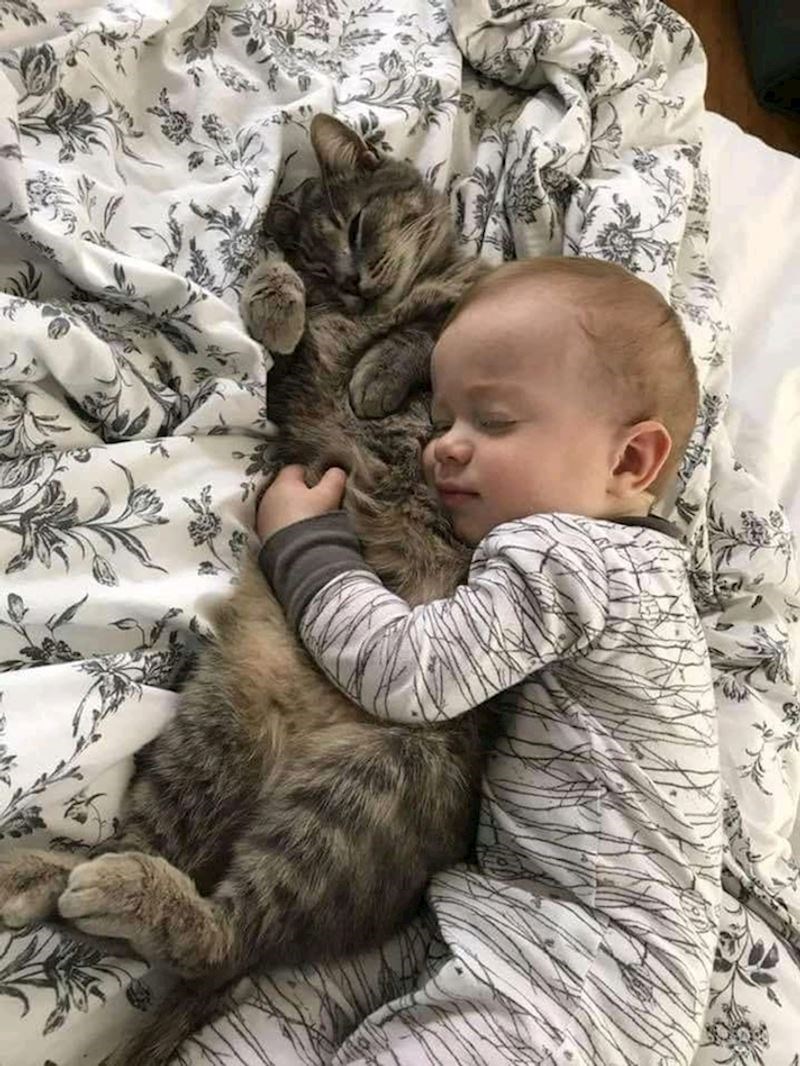 5. "Nije li ovo najslađi prizor koji ste vidjeli?"