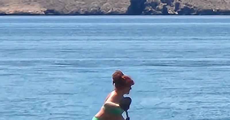 Ljudi s plaže uočili smiješan prizor u moru i sve odlučili fotkati, ovo je takav hit!