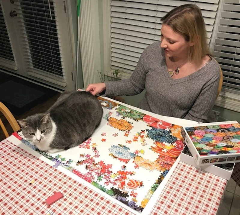 18. Ova mačka ne misli da vlasnica produktivno provodi večer