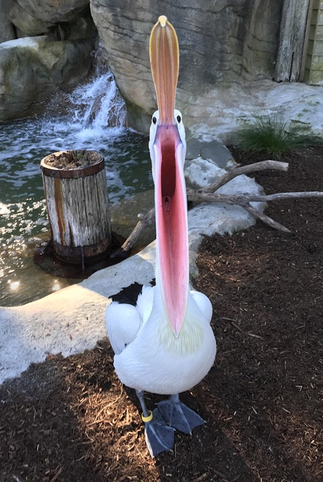 5.