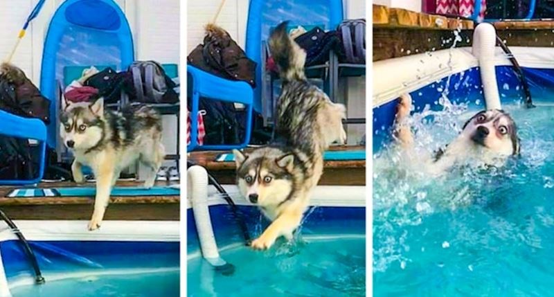 4. Žao nam je što se uplašio, ali moramo priznati da su fotografije smiješne