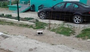 Jedna kuća u Bugarskoj postala je hit na Fejsu s tisućama lajkova, odmah ćete shvatiti zašto