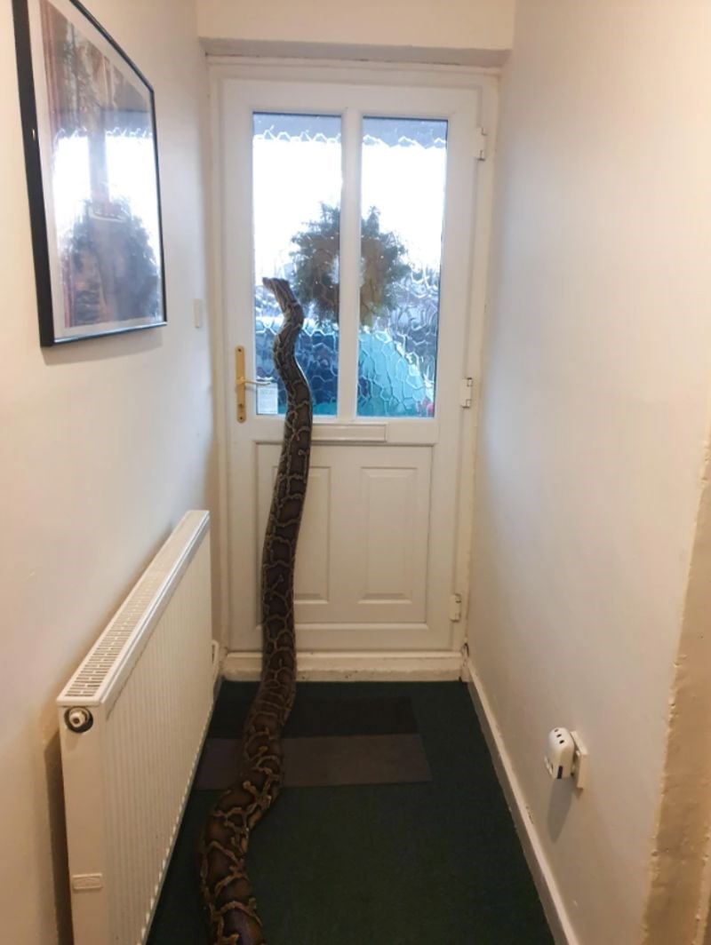 7. "Nešto nam u zadnje vrijeme ne dolaze toliko gosti. Pitam se zašto..."