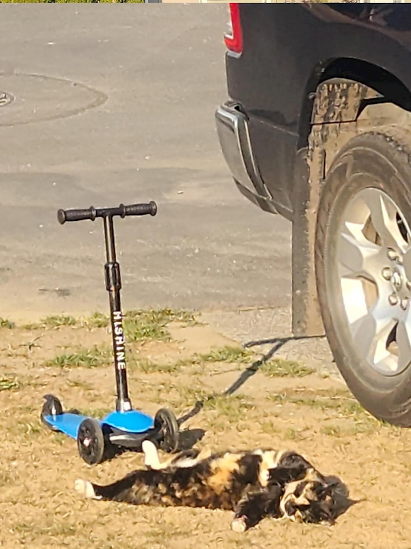 9. Glumica koja zaslužuje Oscara!