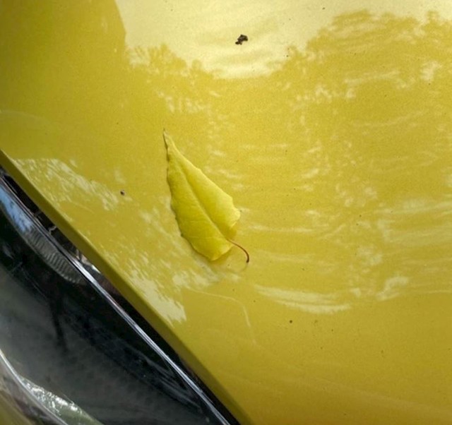 List koji je pao na auto je identične boje kao automobil