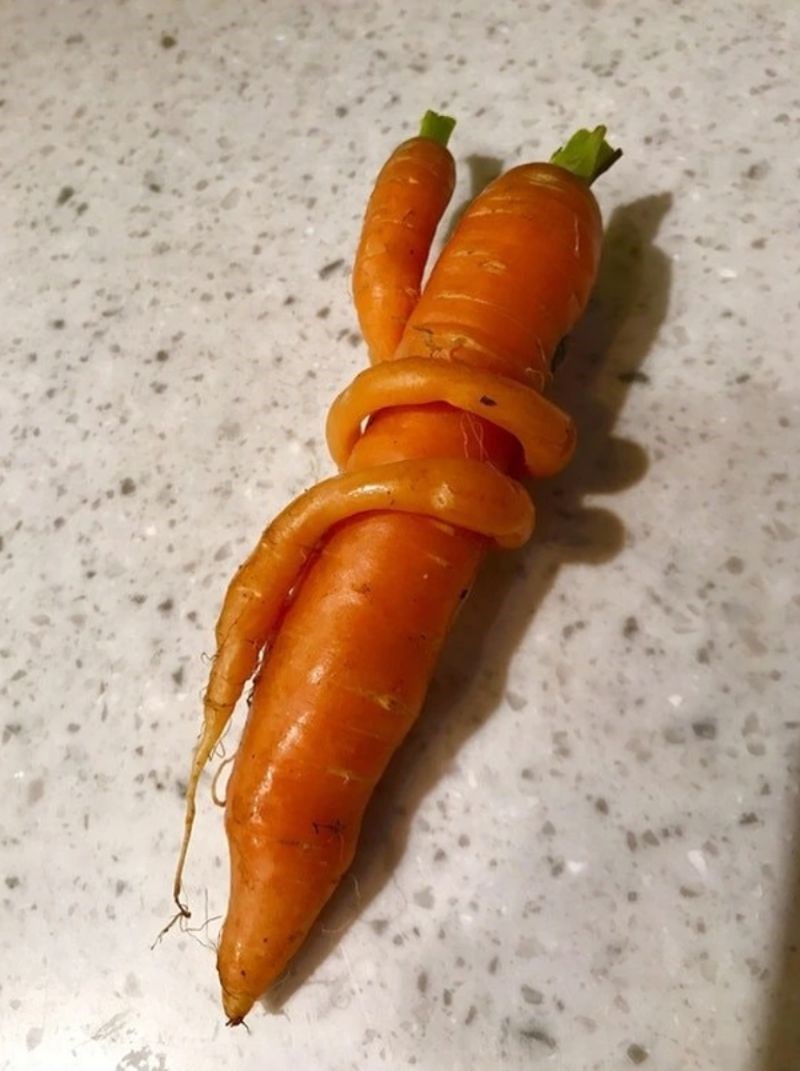 6. Mrkva izgleda kao da jako grli drugu mrkvu.