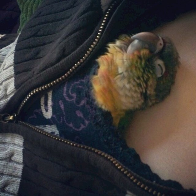 16.