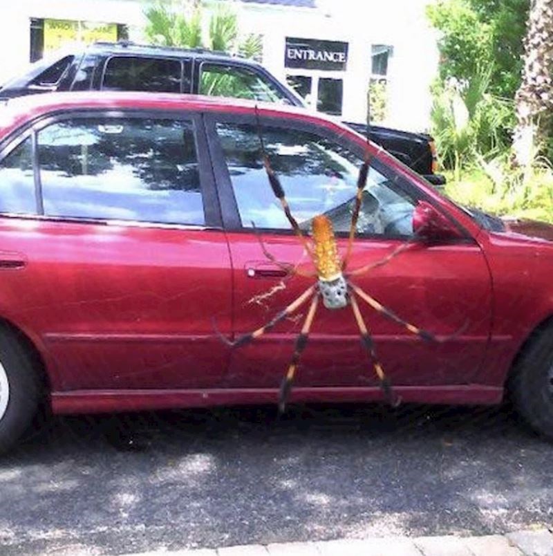 6. Mreža se gotovo uopće i ne primijeti...