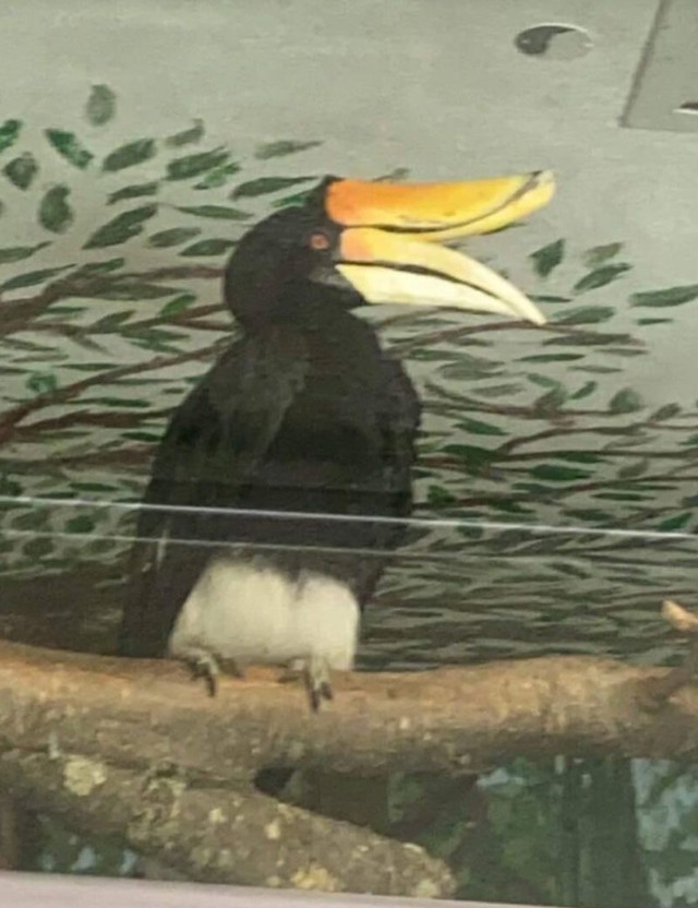 6.