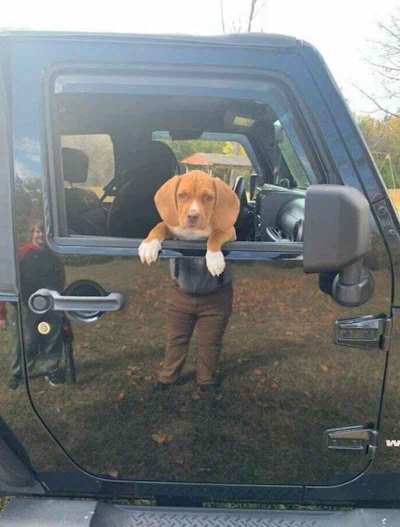 5. Ovo je presimpatična slučajnost!