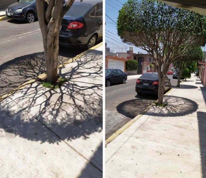 2. Kakav divan uzorak!