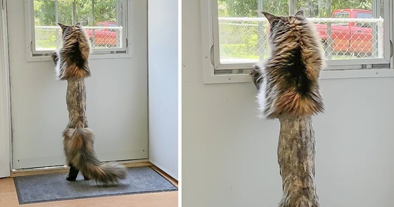 15 varljivih prizora koji će namučiti i najoštroumnije među nama