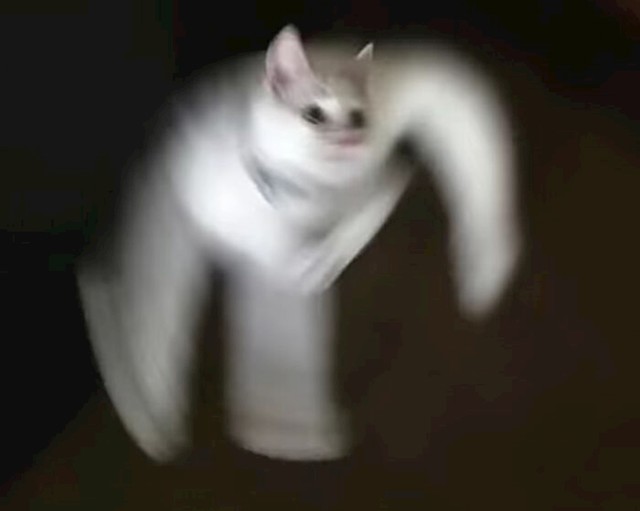 17.