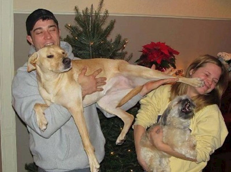 10. "Mislim da je očito da se mom psu ne sviđa moja djevojka."