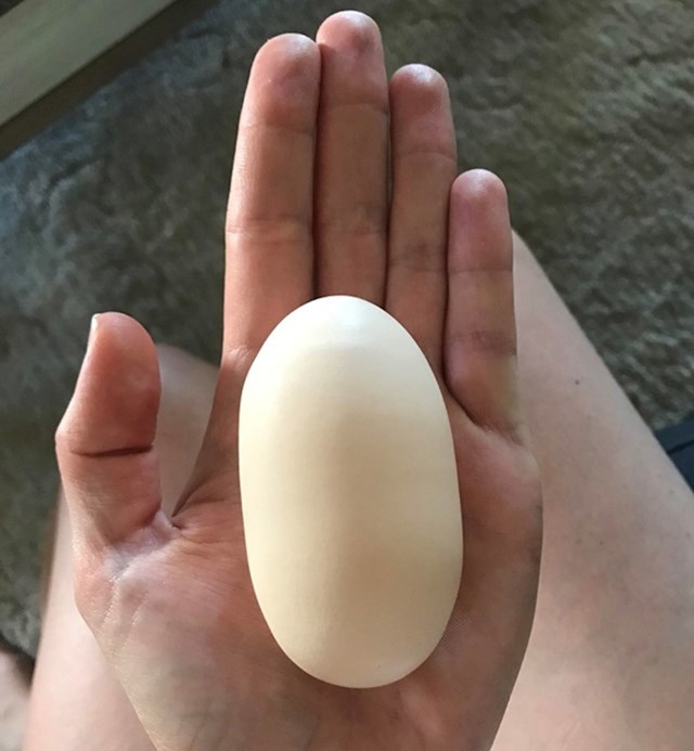 "Jedna od naših kokoši je danas snijela ovo jaje."