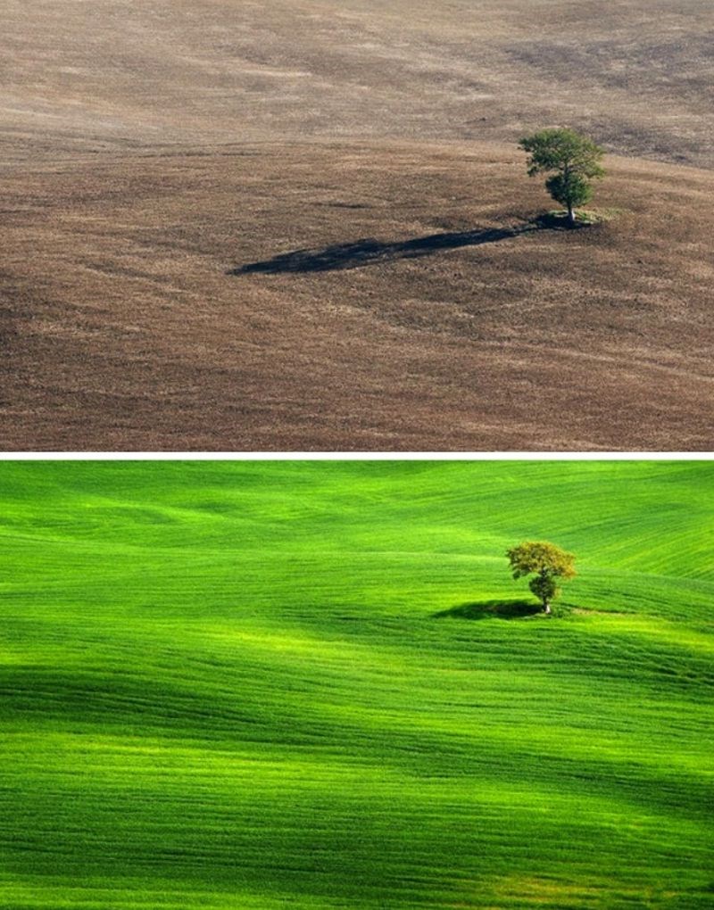 "Isto mjesto u Toskani, samo nekoliko mjeseci kasnije."