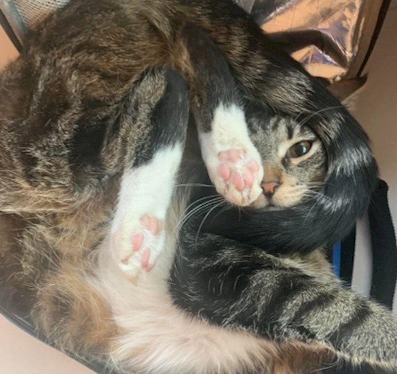 "Nema te poze ili položaja u kojem joj neće biti udobno"