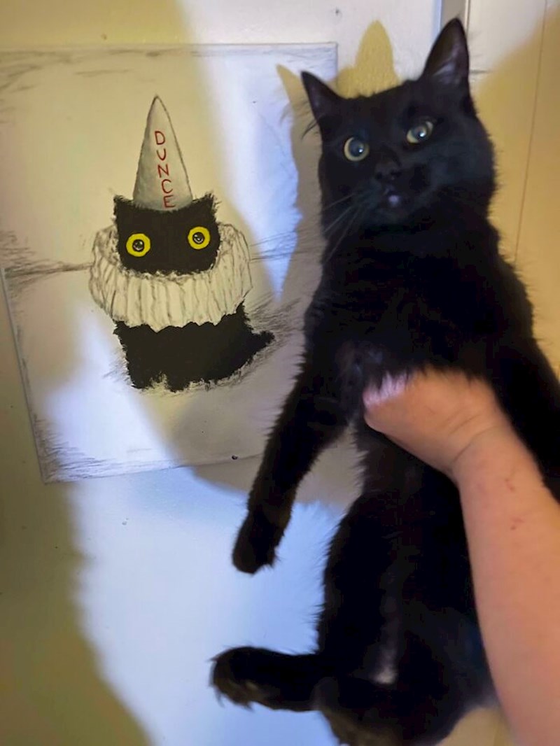 8. Žena je u kontejneru pronašla sliku koju ju podsjeća na njezinu mačku