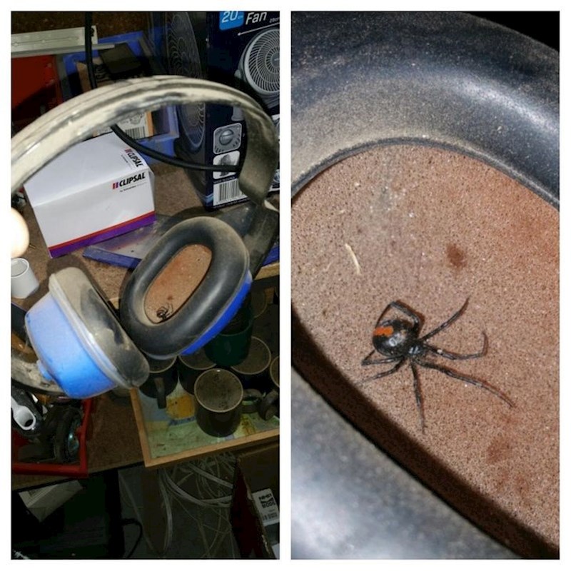 9. Hvala lijepa, doviđenja!