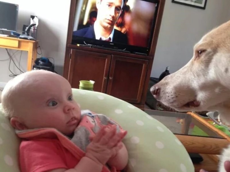 "Očekivali smo drugačiju reakciju kad smo ih upoznali prvi put, ali ova nas je jako nasmijala."