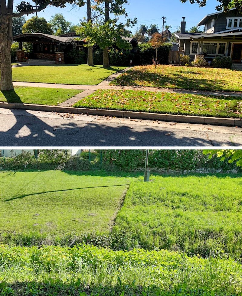 11. Postoje i dvije vrste susjeda: oni koji neprestano kose travu i brinu o dvorištu, i oni koji to rade po potrebi