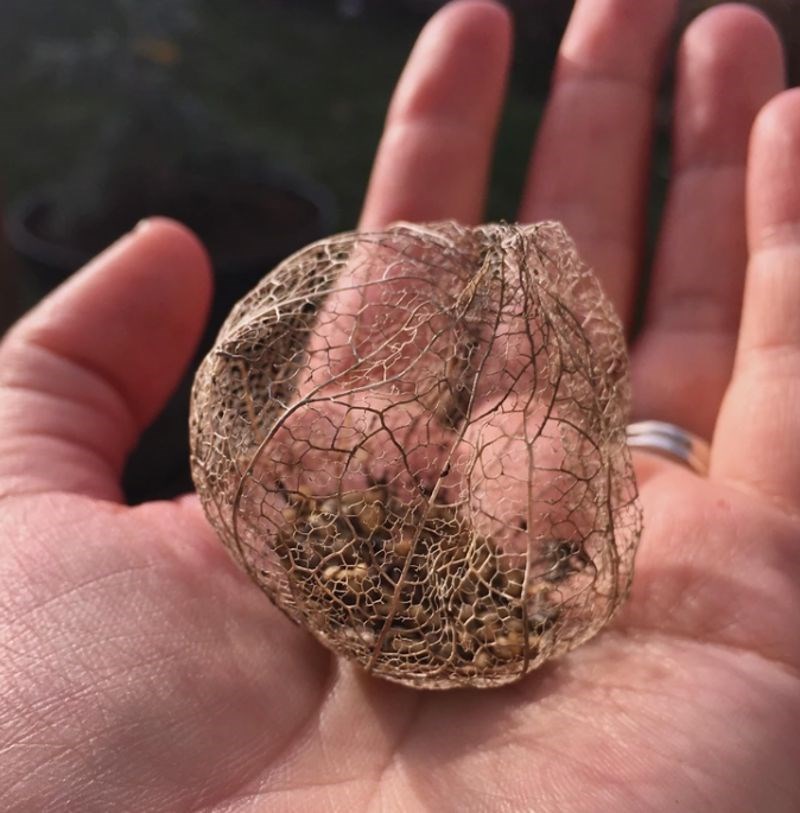 13. "Prefora mi je ovo"