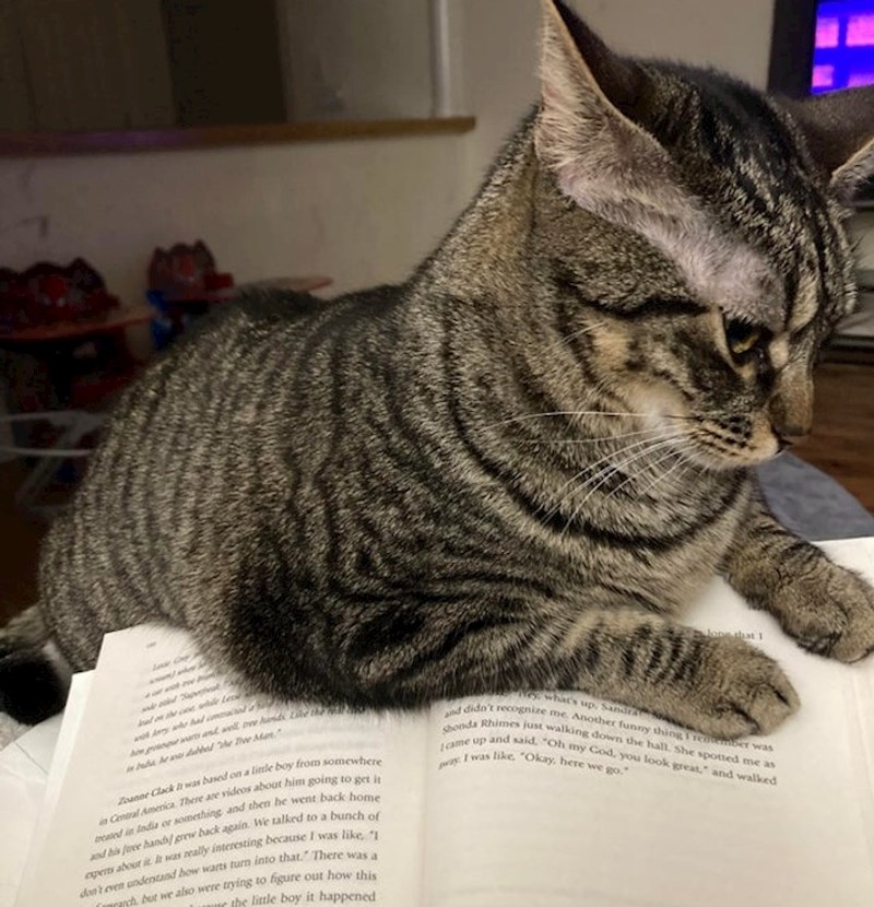 1. Dosta čitanja, gasi svjetlo!