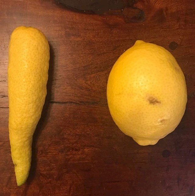 Limun u obliku mrkve