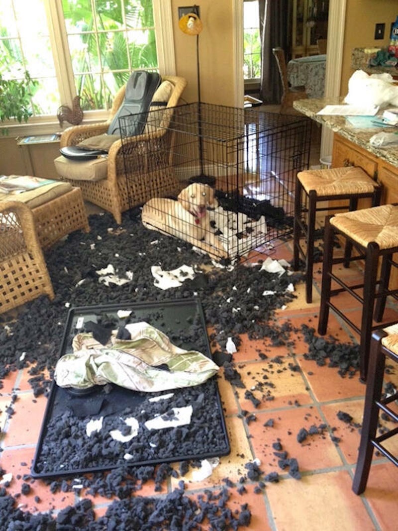 "Došla sam s posla i dočekao me ovaj prizor."