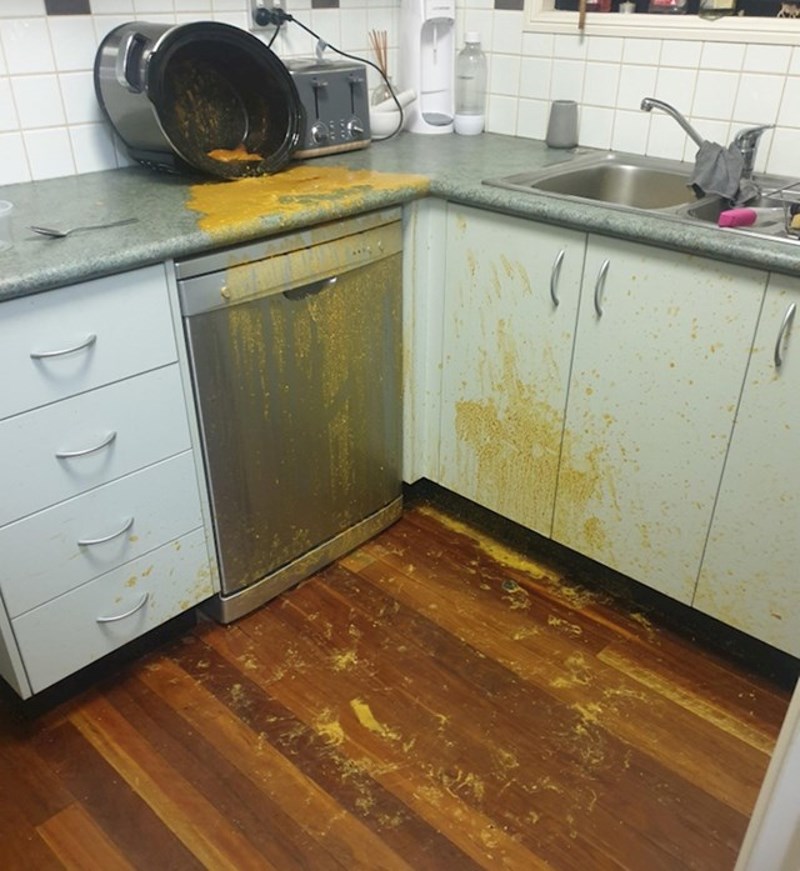 "Satima sam kuhala, a onda je cimerov pas odlučio degustirati što radim i usput sve uništio..."